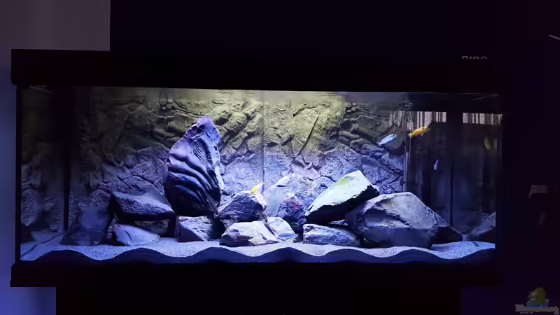 Aquarium Black Stone Tank von S.G (2)