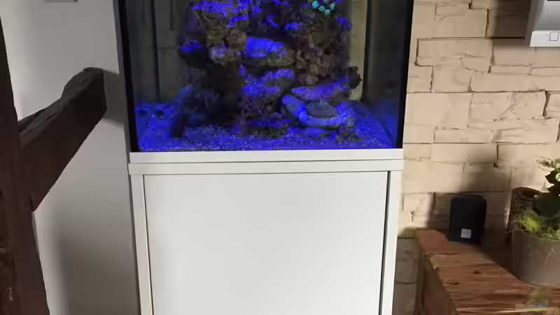 Aquarium Blaue Ecke von Cyano-Kanone (2)