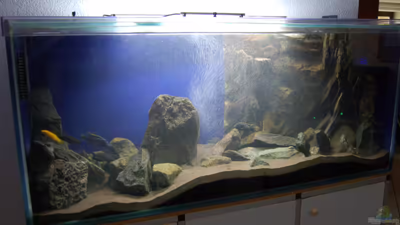 Aquarium Blauer Felsen von Christian Schlüter (5)