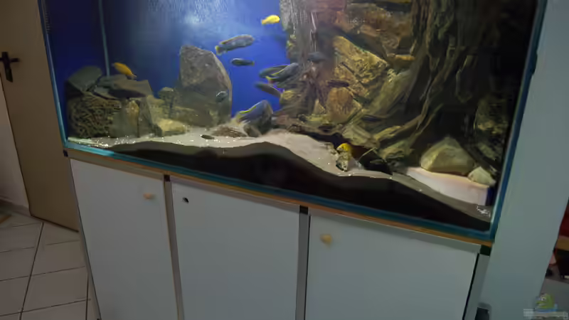 Aquarium Blauer Felsen von Christian Schlüter (8)