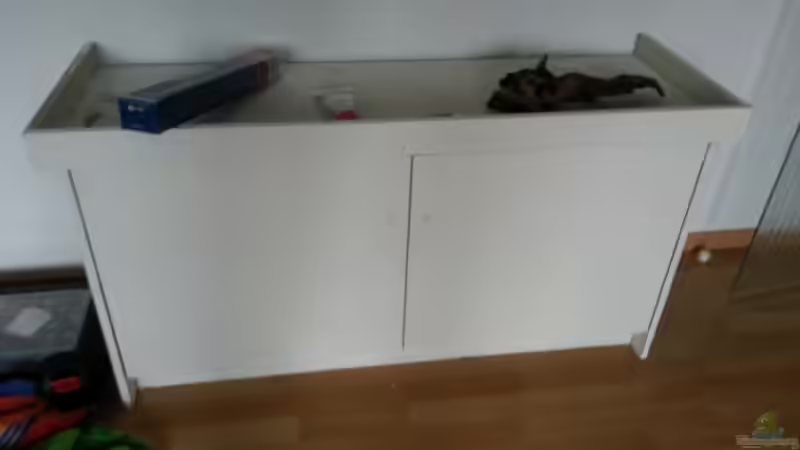 Aquarium Blaulinge im Grünen von Yvonne Storms (2)