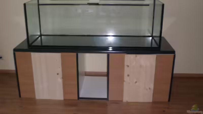 Aquarium Blaupunkt und Sajica von Bastian & Sandra (4)