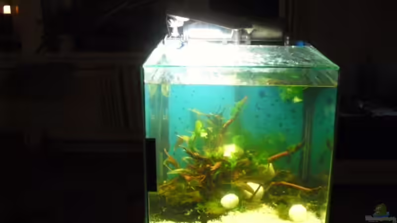 Aquarium Blue Cube von MiCa (2)