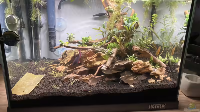 Aquarium Blues Reich von Dennis Schönberg (5)