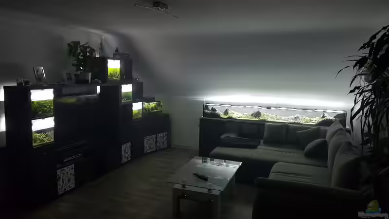 Aquarium Borneo Wild von AquaTobi90 (5)