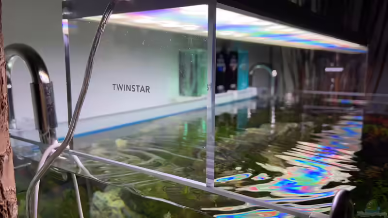 Aquarium Branch von chu2k8 (13)