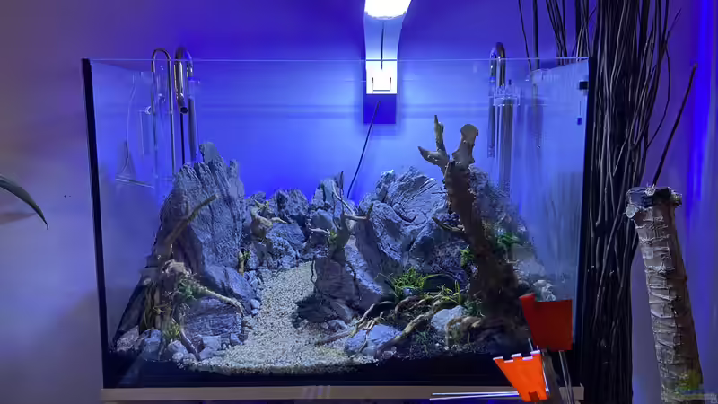 Aquarium Branch von chu2k8 (14)