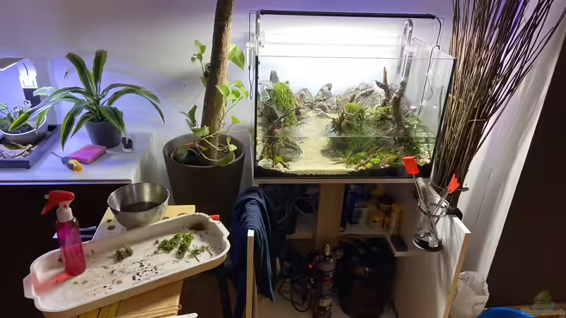 Aquarium Branch von chu2k8 (15)