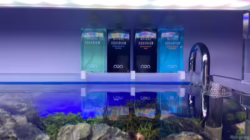 Aquarium Branch von chu2k8 (19)