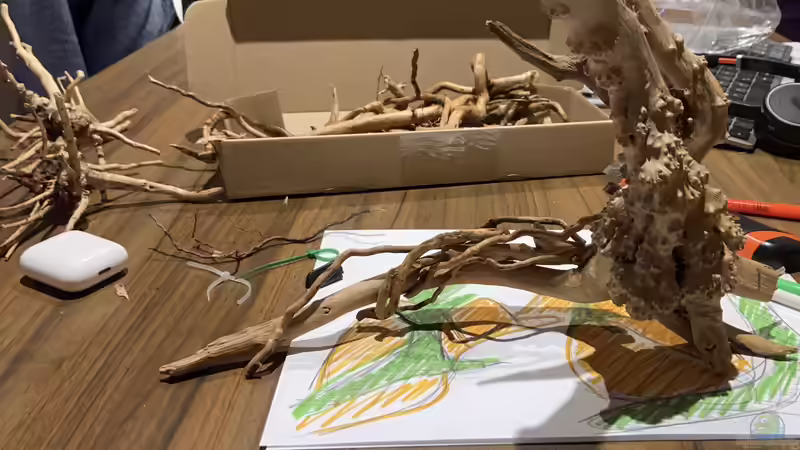 Aquarium Branch von chu2k8 (26)