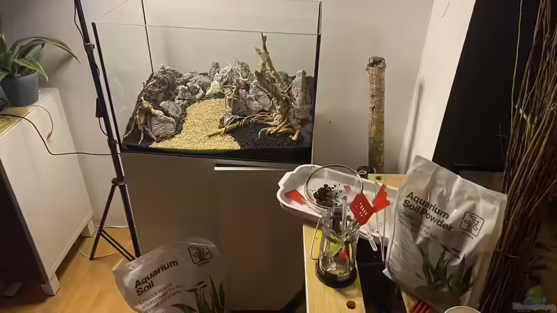 Aquarium Branch von chu2k8 (28)