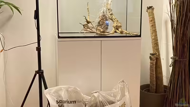 Aquarium Branch von chu2k8 (33)