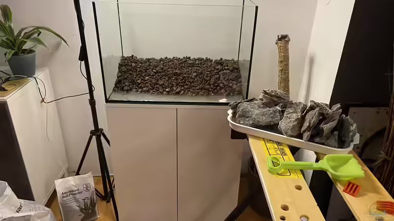 Aquarium Branch von chu2k8 (4)