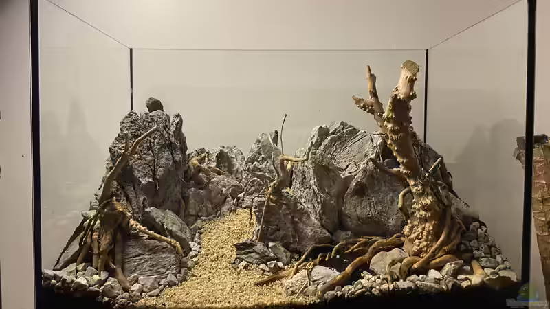 Aquarium Branch von chu2k8 (5)