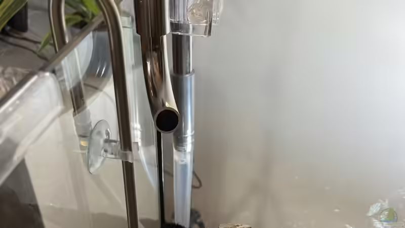 Aquarium Branch von chu2k8 (6)