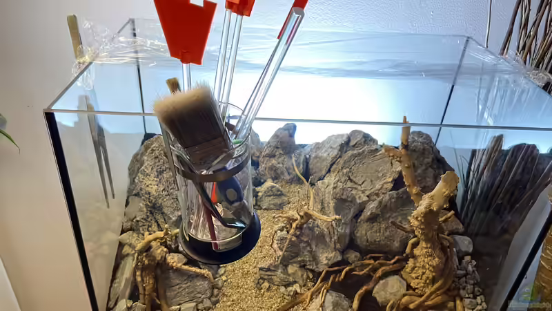 Aquarium Branch von chu2k8 (8)