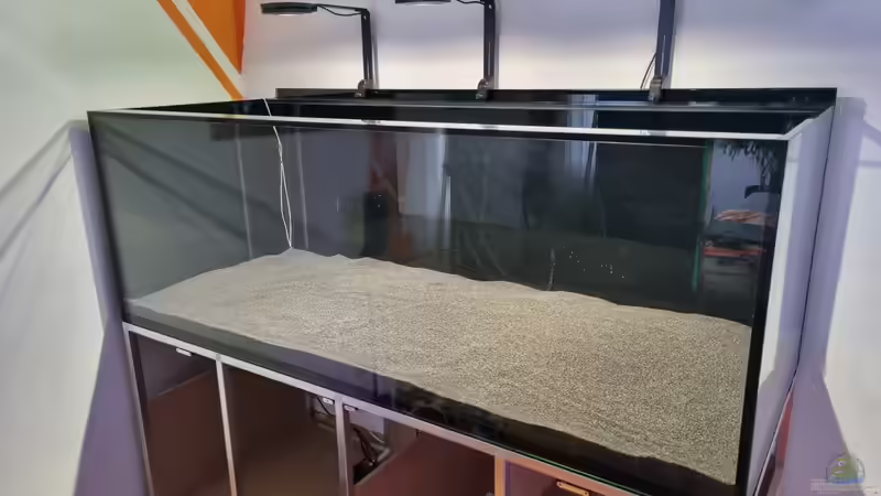 Aquarium Brazilian Dream von The_Lizardking (10)