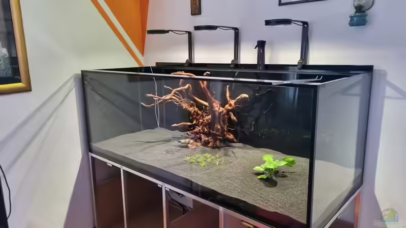 Aquarium Brazilian Dream von The_Lizardking (11)