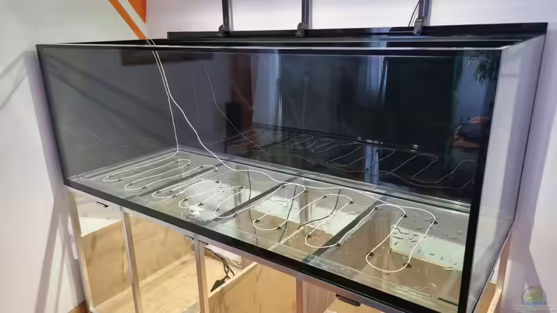 Aquarium Brazilian Dream von The_Lizardking (7)