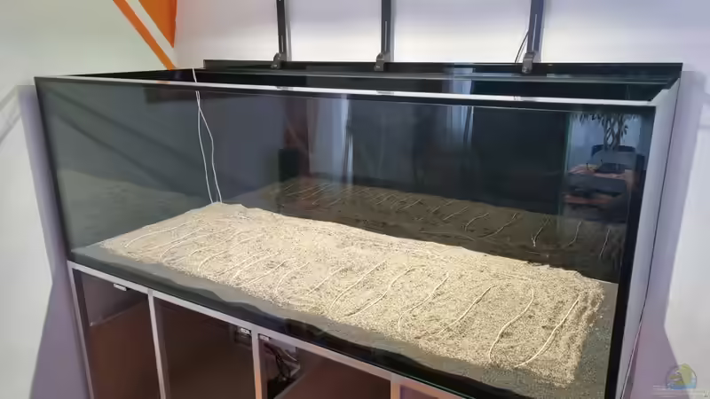 Aquarium Brazilian Dream von The_Lizardking (8)