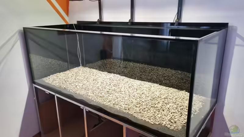 Aquarium Brazilian Dream von The_Lizardking (9)