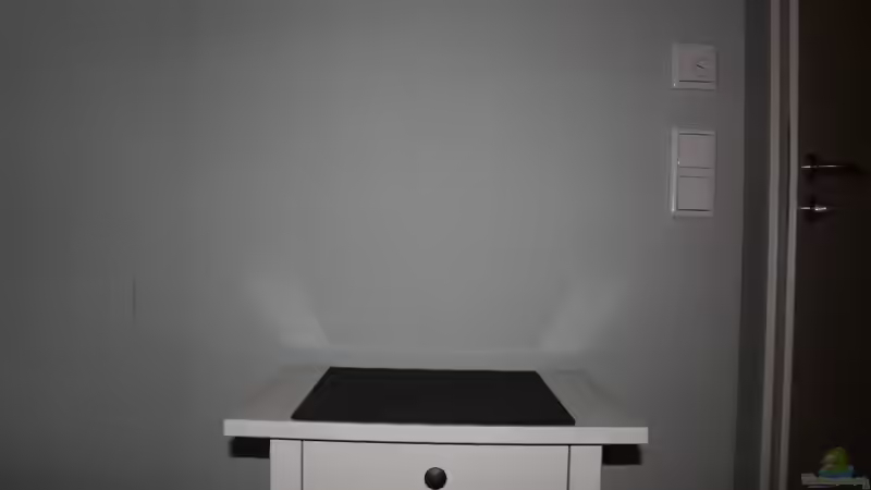 Aquarium Buddha bei die Fische von Bawitdaba (5)