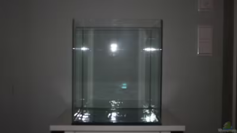 Aquarium Buddha bei die Fische von Bawitdaba (6)