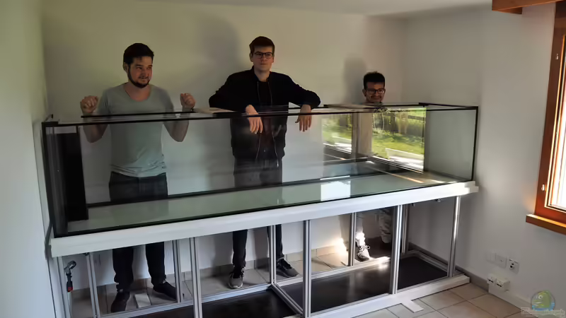 Aquarium Büro 290 von Chris64 (3)