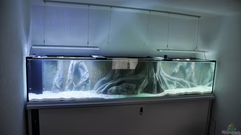 Aquarium Büro 290 von Chris64 (6)