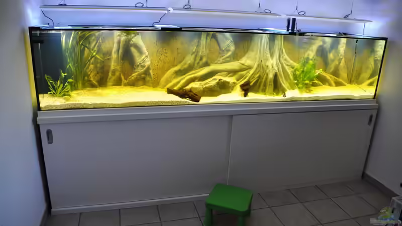 Aquarium Büro 290 von Chris64 (7)