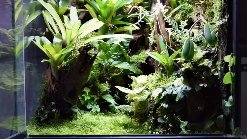 Aquarium Canyon von Junglist (5)