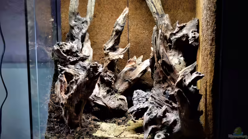 Aquarium Canyon von Junglist (9)