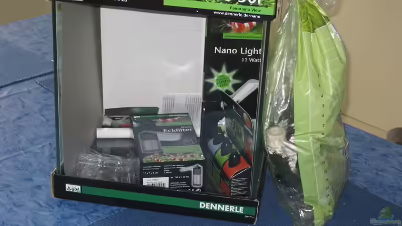 Aquarium Caty`s Garnelotopia von Caty (2)