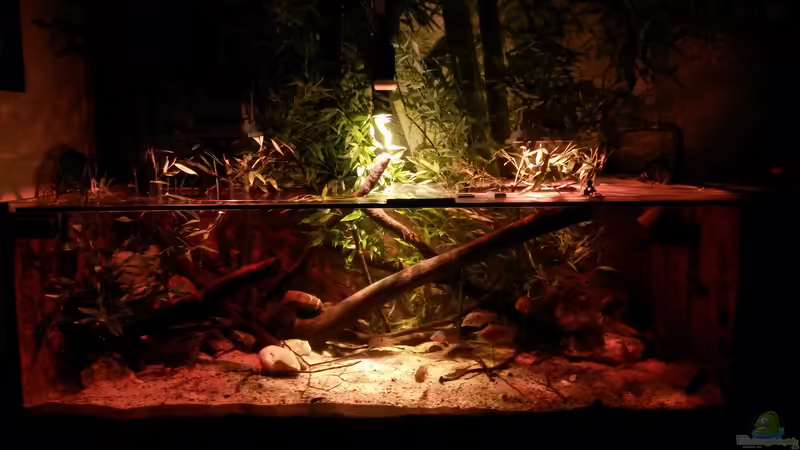 Aquarium Central Park von Leo-FAN (11)