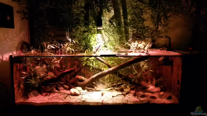 Aquarium Central Park von Leo-FAN (12)