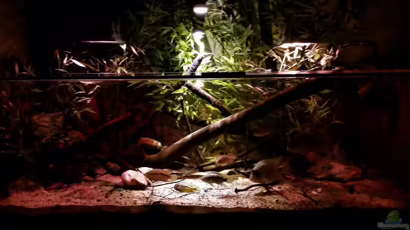 Aquarium Central Park von Leo-FAN (13)