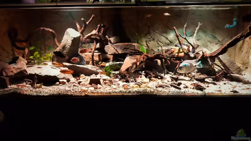 Aquarium Central Park von Leo-FAN (21)