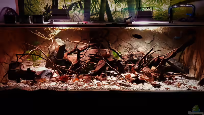 Aquarium Central Park von Leo-FAN (22)