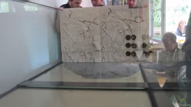 Aquarium Central Park von Leo-FAN (26)