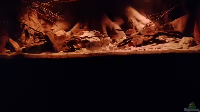 Aquarium Central Park von Leo-FAN (8)