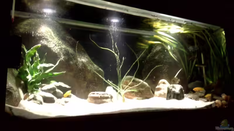 Aquarium Channel II von Chris_R. (7)