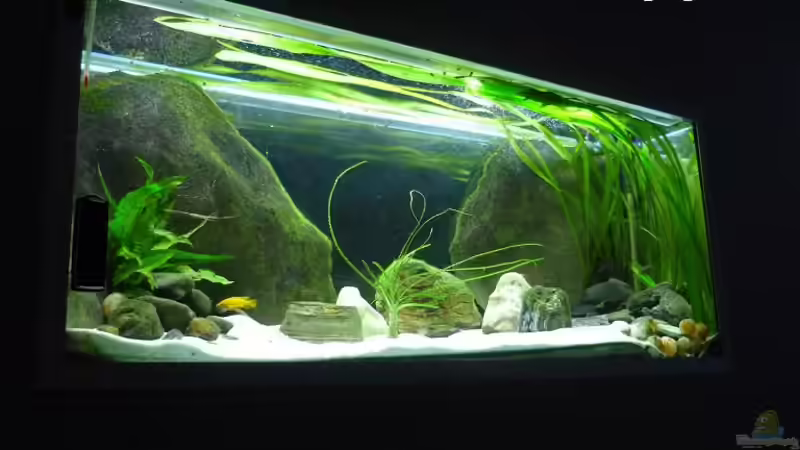 Aquarium Channel II von Chris_R. (8)