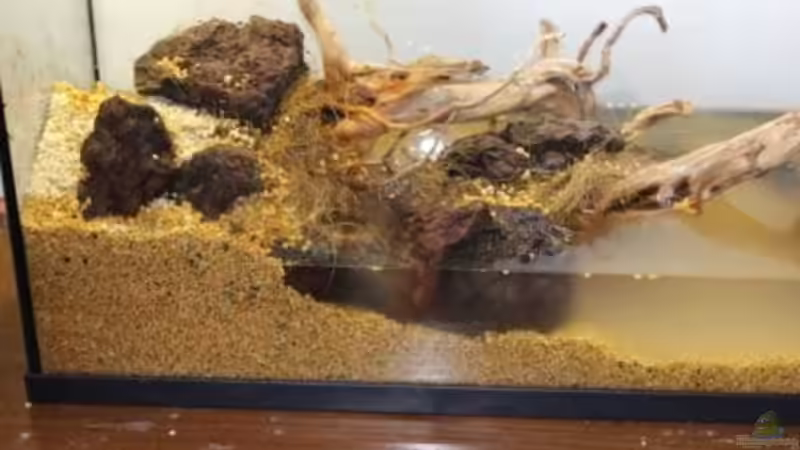 Aquarium Chao phraya von lomarraco (12)