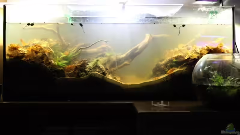 Aquarium Chao phraya von lomarraco (27)