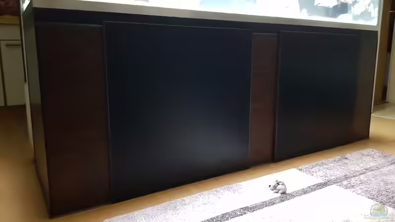 Aquarium Cichlidenparadies von Malawi-Guard (37)