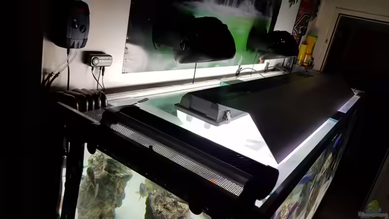 Aquarium Cichlidenparadies von Malawi-Guard (40)