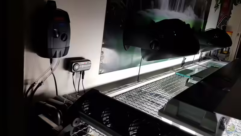 Aquarium Cichlidenparadies von Malawi-Guard (41)