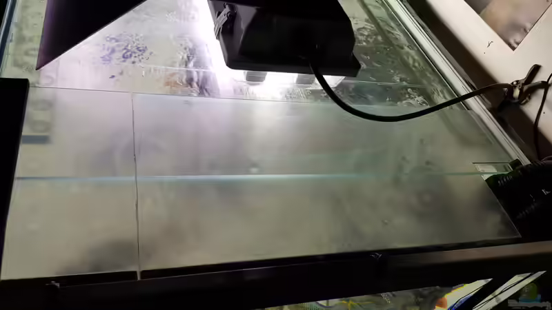 Aquarium Cichlidenparadies von Malawi-Guard (42)