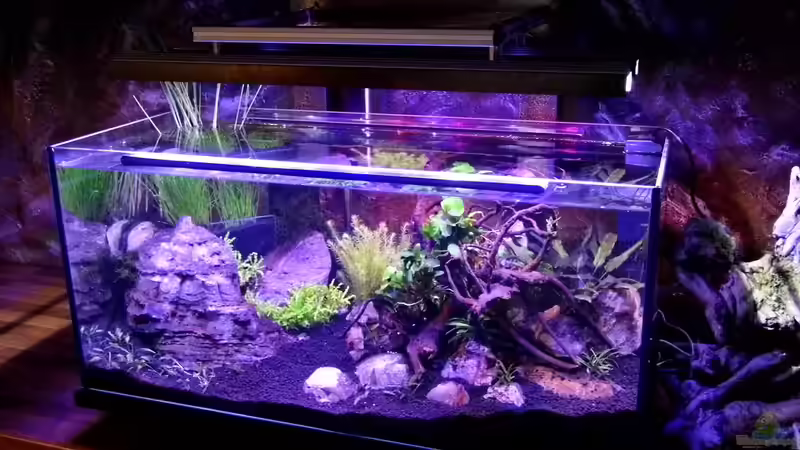 Aquarium Clear Structure von snooze (2)