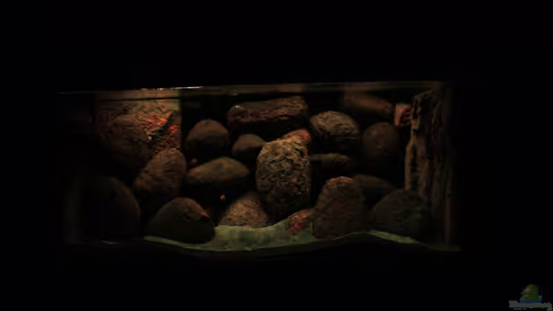 Aquarium Concrete canyon for Mbuna von Werner Franz (4)